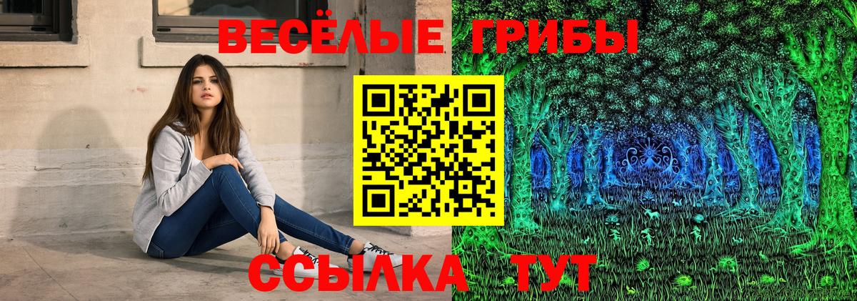 Галлюциногенные грибы MAGIC MUSHROOMS  Вход с VPN  Грозный 